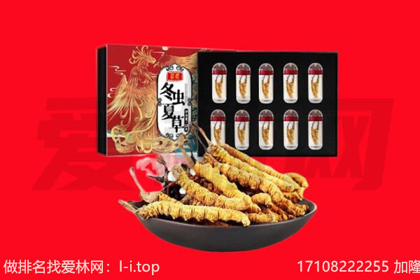 玉树市治多县回收虫草.jpg